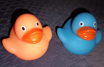 Badeend blauw oranje